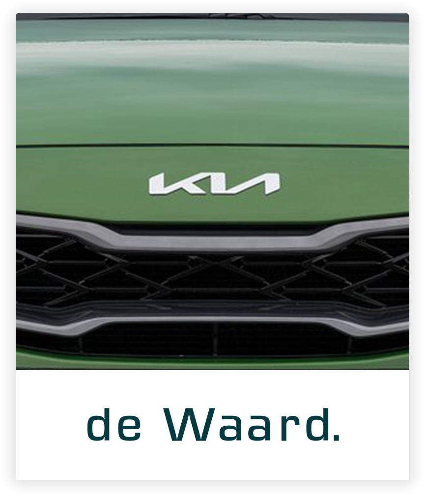 De Waard Kia Logo Grille